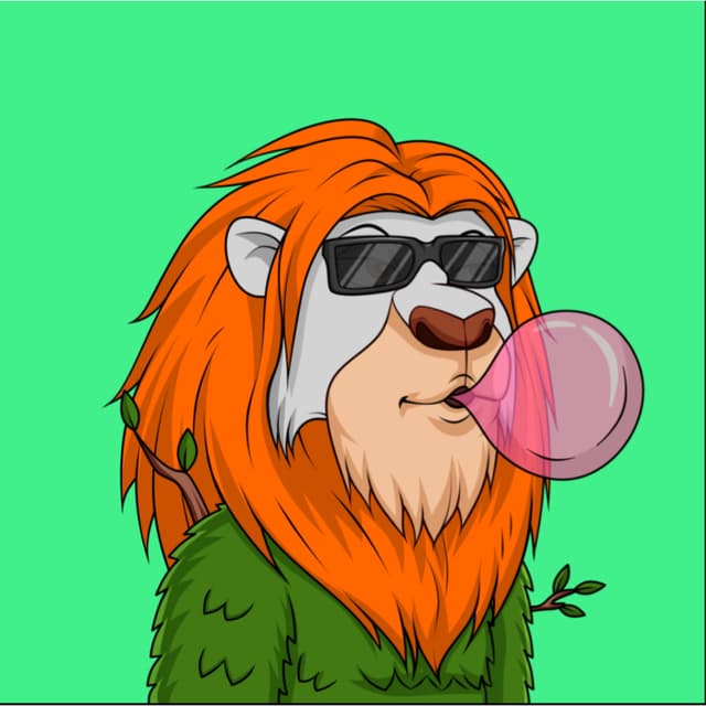 HeadElf avatar